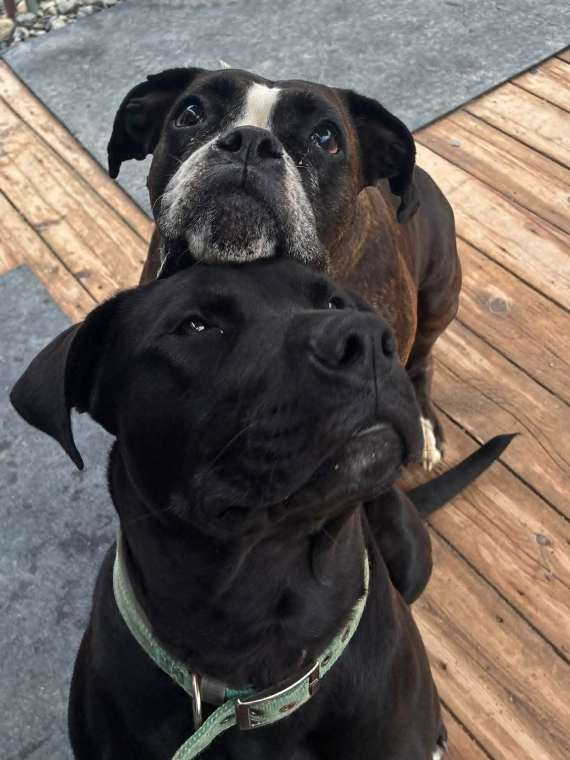 Margaret and Bronny, the Maxxed Out Services crew